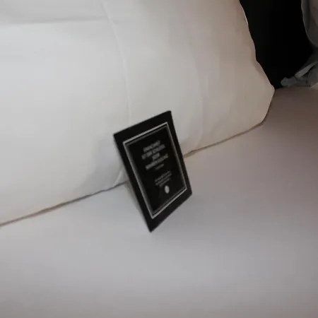 ホテル Arthotel Ana Aura 3*
