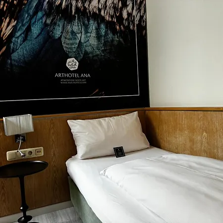 Arthotel Ana Aura ホテル Aystetten
