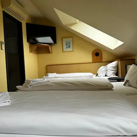 Arthotel Ana Aura 호텔